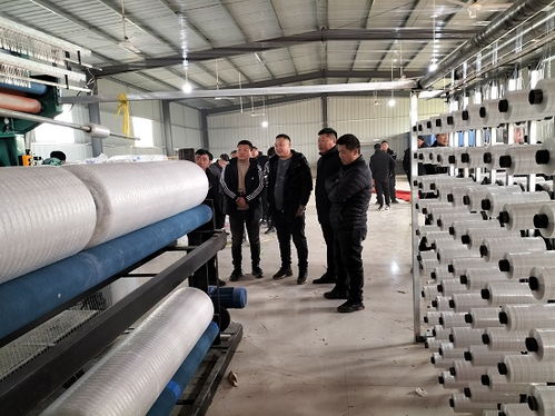 安徽省靈璧縣凱祥捆草網(wǎng)廠正式投產(chǎn)運(yùn)營(yíng)