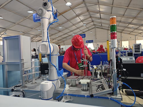 河南省第三屆職業技能大賽在開封開幕，技術服務引領未來